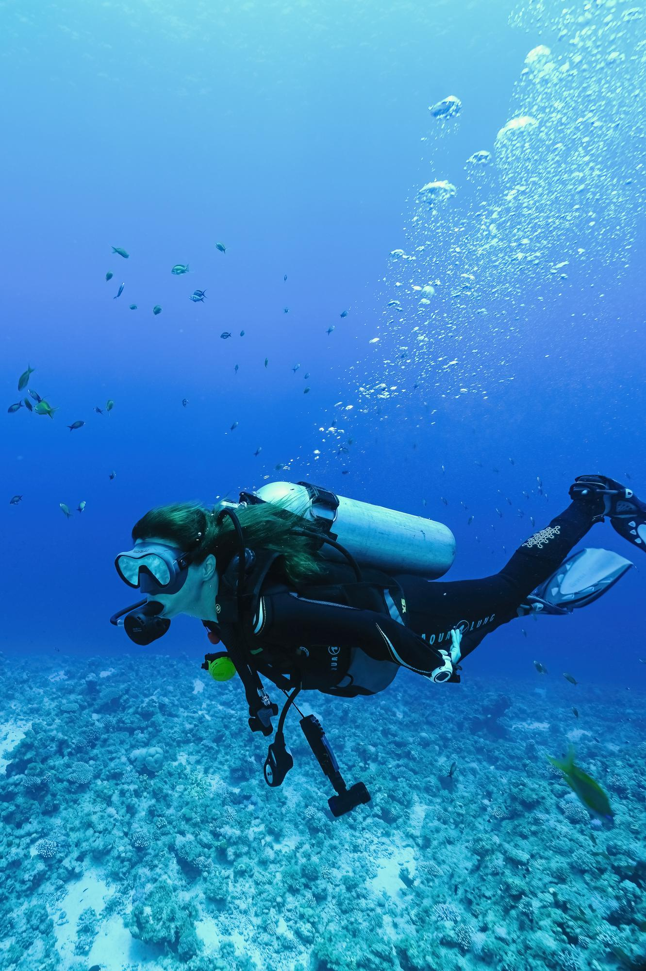 Scuba Diving