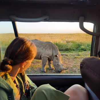 Safari Wildlife